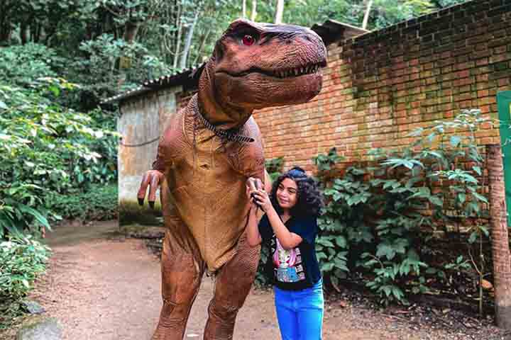 As crianças têm a oportunidade de participar de atividades práticas e interativas, como escavações de fósseis e pintura de réplicas de dinossauros e até mesmo subir em alguns dos modelos de dinossauros. 