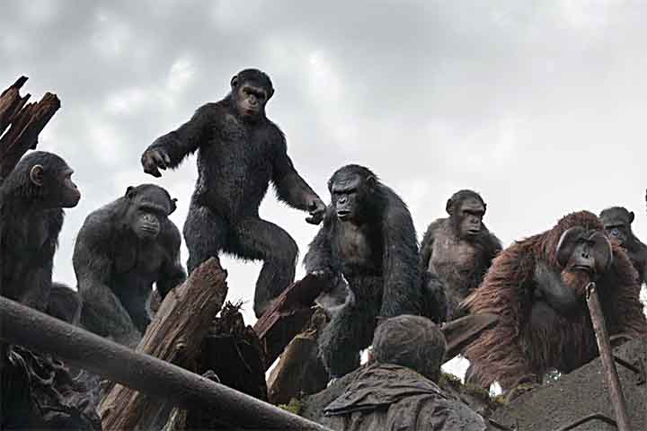 Um jovem chimpanzé, Noa, personagem de Owen Teague (“It, a Coisa”) tem papel central no novo capítulo, que tem como temática conflitos pelo poder e o valor da liberdade. 

