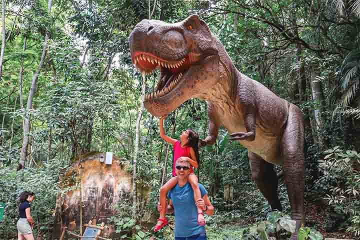 Com a maior tirolesa da região, que possui mais de 300 metros de extensão e pontos de até 100 metros de altura, o visitante poderá sentir a natureza de pertinho. Em caso de desistência, o parque não estorna o valor pago pelo ingresso das atrações Tirolesa e Trilha Suspensa.