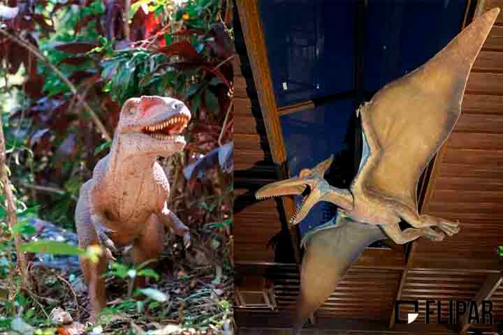 Além disso, os animais ficam espalhados pela trilha, que é feita a pé e cheia de surpresas. Um verdadeiro convite ao universo dos dinossauros, que embalou o cinema, sob a direção de Steven Spielberg e baseado no livro homônimo escrito por Michael Crichton.