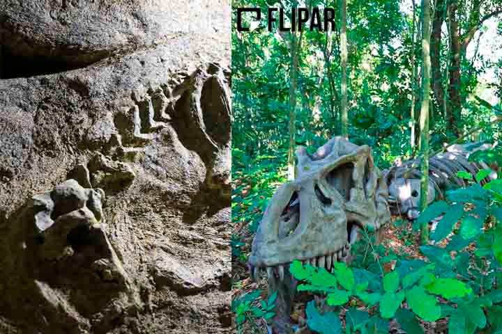 O empresário Marcio Clare (que tem diversas empresas em outros ramos) conta que decidiu se inspirar no 'jeito Disney' de fazer parques temáticos. Desta vez, voltado exclusivamente para o universo dos dinossauros e uma viagem à pré-história.