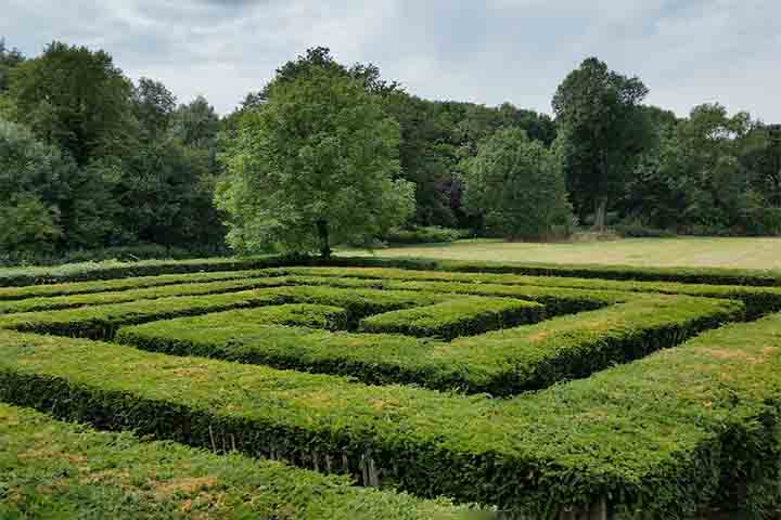 Desde 2009, no primeiro sábado de maio, pessoas de todo o planeta comemoram o Dia Mundial do Labirinto percorrendo caminhos longos e curtos. O Localizador Mundial de Labirintos da Labyrinth Society agora lista cerca de 6,4 mil labirintos em mais de 90 países.