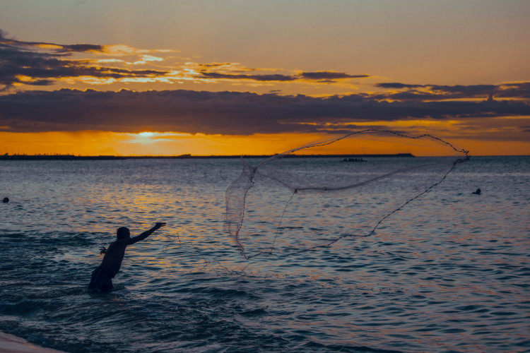 A diminui&ccedil;&atilde;o [do pH] causa muitas mudan&ccedil;as qu&iacute;micas nas &aacute;guas do mar