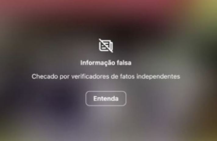  Sobre a invasão às sedes dos Três Poderes, em 8/1/2023, ela chegou a publicar que a esquerda teria colocado blackblocks para fazer o quebra-quebra. O Instagram avisou que apuração isenta concluiu que a informação era falsa. 