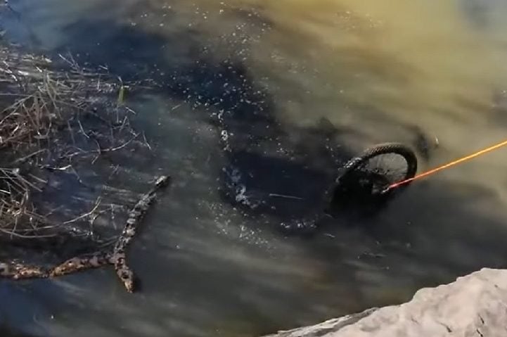 Embora já tivessem encontrado outros cofres antes, James afirma que essa foi a primeira vez que encontraram dinheiro dentro de um deles. 