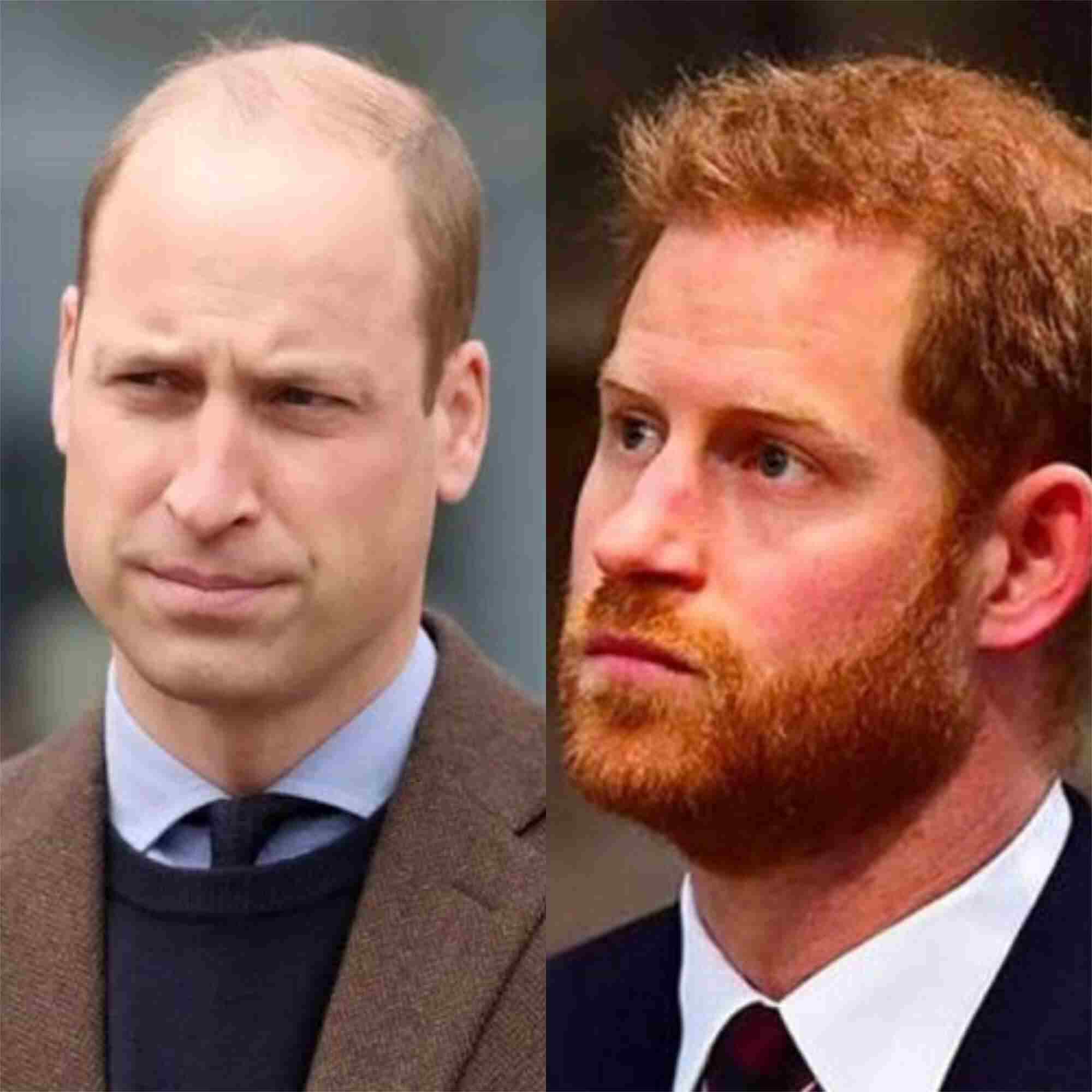 Desta forma, especialistas no assunto estariam interpretando que este novo rei seria Harry e não William, que é o próximo na linha de sucessão na monarquia britânica.