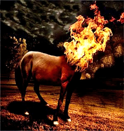 Mula sem cabeça - Diz respeito a uma maldição que caiu sobre uma mulher após iniciar um namoro com um padre. Assim, na virada de quinta para sexta-feira, ela se transforma no animal – originado pelo cruzamento do jumento com égua. 