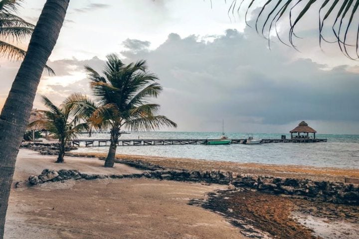 Segundo a polícia local, um dos principais motivos para a violência no país é a grande quantidade de gangues, além do tráfico de pessoas, de drogas e controle territorial do tráfico. Em 2019, 58% dos assassinatos foram por conta de guerras de quadrilhas.