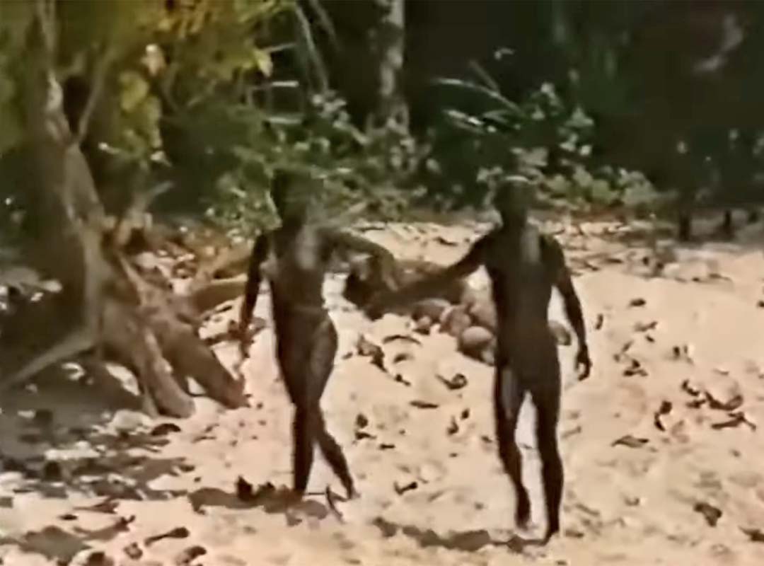 Os precários registros de contatos com a tribo nativa dão conta de que a vida dos sentineleses é bastante primitiva. 