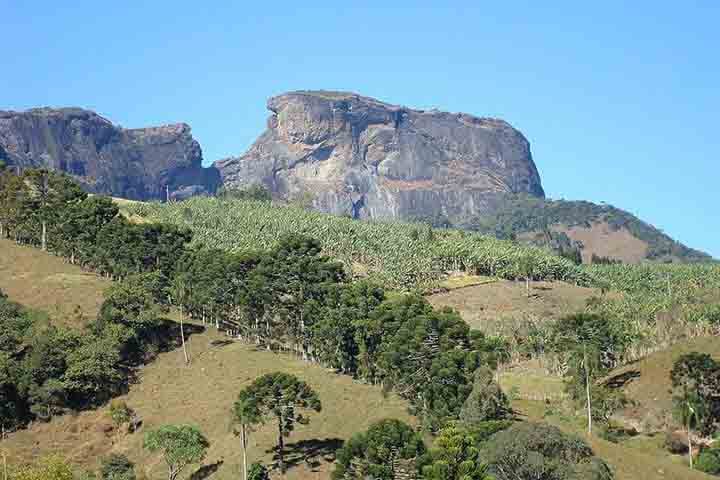 Além disso, apresenta a degustação de nove tipos diferentes de azeite, tanto de forma pura quanto os misturados a bolos, frutas e pães.