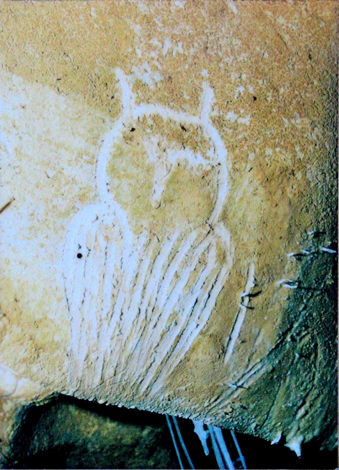 A coruja é frequentemente associada à sabedoria em diversas culturas, especialmente na mitologia grega, onde Atena, a deusa da sabedoria, era frequentemente representada acompanhada por uma coruja. 