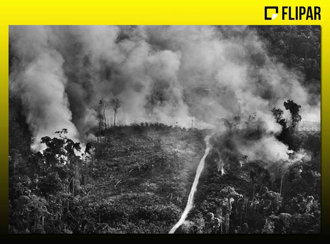 Por meio do Instituto Terra, associação civil sem fundos lucrativos, Sebastião Salgado e a mulher Lélia promovem há mais de duas décadas ações voltadas à preservação do meio-ambiente. 
