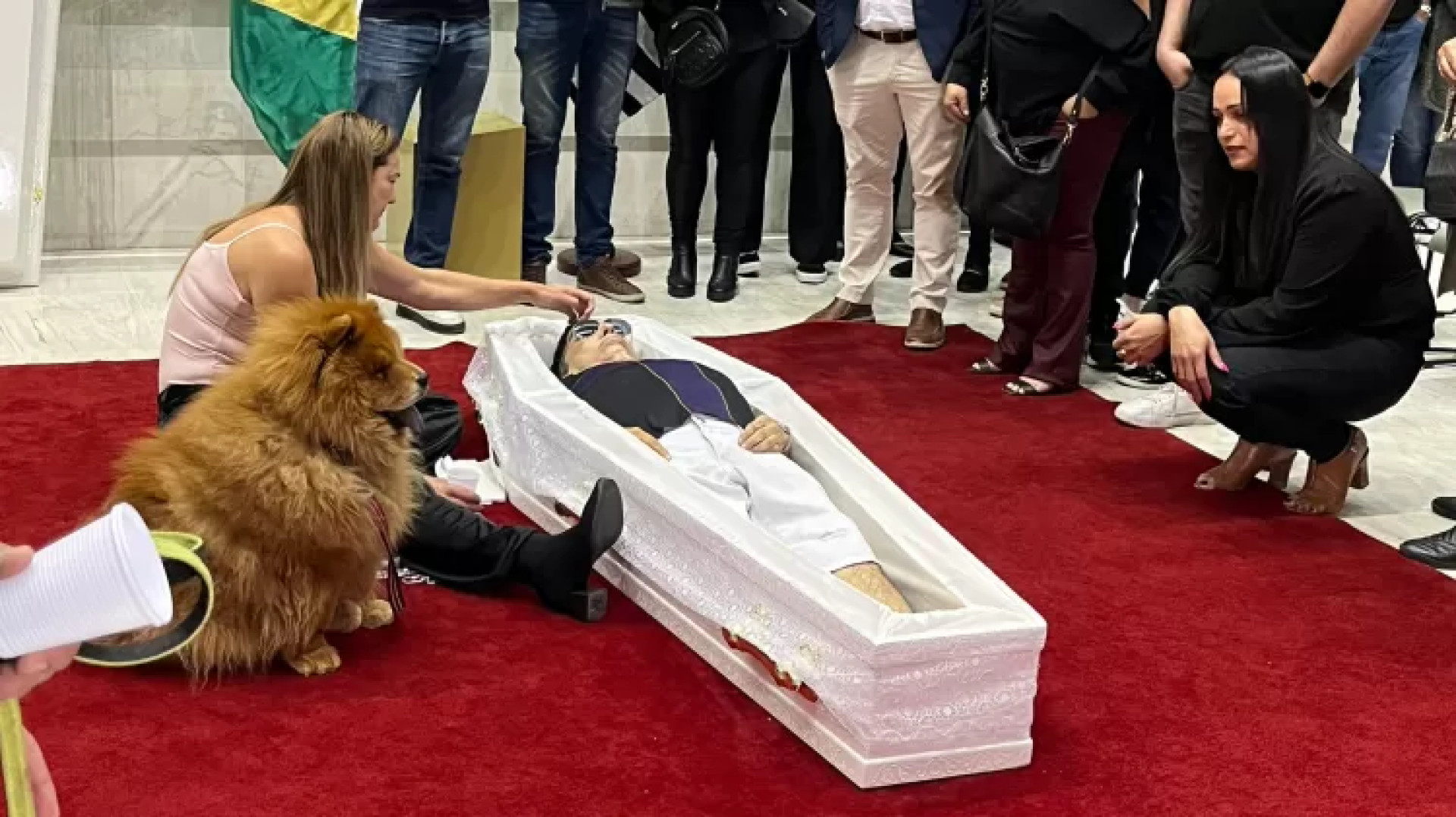 Com o caixão no chão, Serena e Saffira, duas das cadelas criadas por Nahim, participaram do sepultamento do músico