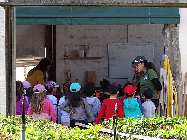 Proponha que o assunto da preservação ambiental esteja presente nas reuniões de pais nas escolas para que todos possam se unir, seguindo a mesma linha na educação dos filhos em casa.