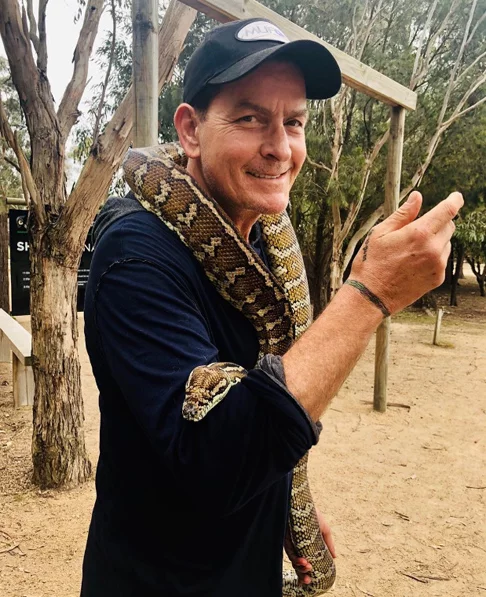  O ator americano Charlie Sheen, conhecido mundialmente pelo papel de Charlie Harper em Two And a Half Men, é outro que convive com o vírus, fala abertamente sobre isso e demonstra saúde. Em 2015, ele afirmou que descobriu o HIV em 2011. 