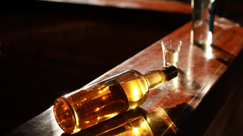 O Cear&aacute; apresentou o maior crescimento em n&uacute;meros de empresas do ramo, passando de 34 em 2023 para 47 em 2024