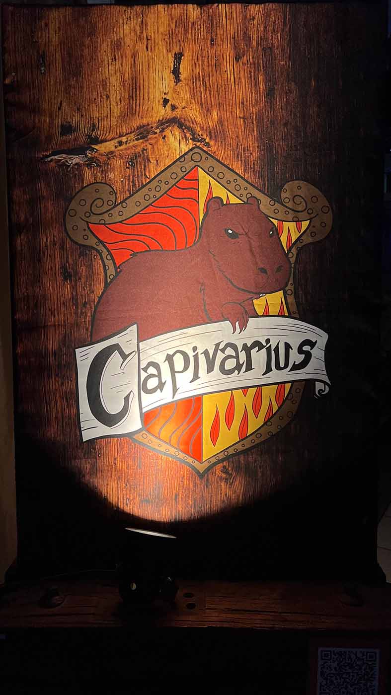 A história começa em sua estação, onde membros da Escola de Magia e Bruxaria de GreenRidge buscam novos alunos para as turmas de GralhaZulis e Capivarius, escolhendo os passageiros para suas casas.