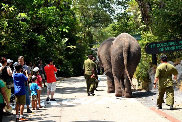 Tem a Floresta Frágil, que parece com uma floresta tropical, a Tundra Congelada, onde vive um urso polar, o Reino Primata, que tem 39 macacos em ilhas diferentes, e o Jardim dos Répteis, com tartarugas, dragões de Komodo e muitas cobras.