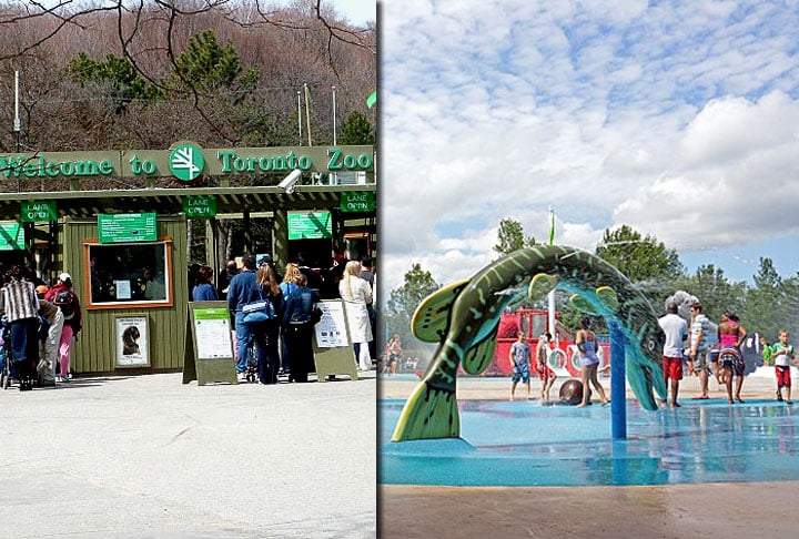 Toronto Zoo, Canadá: O maior zoológico do Canadá é o de Toronto, que tem uma área enorme de 710 acres e mais de 5 mil animais! São sete regiões diferentes, cada uma representando uma parte diferente do mundo: Indo-Malaya, África, Américas, Tundra Trek, Australásia, Eurásia e Domínio Canadense.