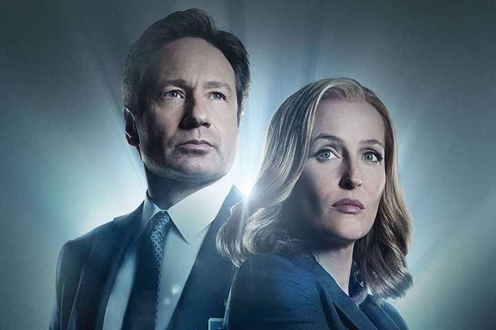 A trama original acompanha dois agentes do FBI, Fox Mulder (David Duchovny) e Dana Scully (Gillian Anderson), nas investigações do chamado Arquivo X. 
