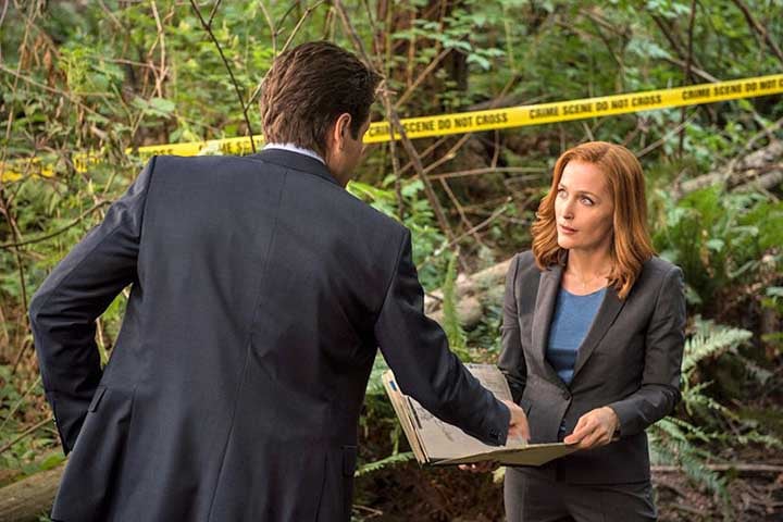 Duchovny e Anderson foram protagonistas entre a primeira e a sétima temporadas, mas na oitava e nona o personagem Fox Mulder “sumiu”, aparecendo esporadicamente. E outros atores entraram em cena, entre eles Robert Patrick como o agente John Doggett. 
