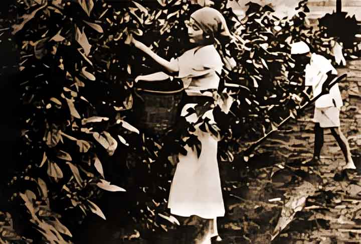 Uma data em especial fez com que Brasil e Japão estreitassem laços, que reverberam até a atualidade. Trata-se de 18 de junho, data que remete à chegada dos primeiros imigrantes japoneses ao país e que o transformou, ao longo do tempo, na maior comunidade nipônica fora do Japão no mundo.