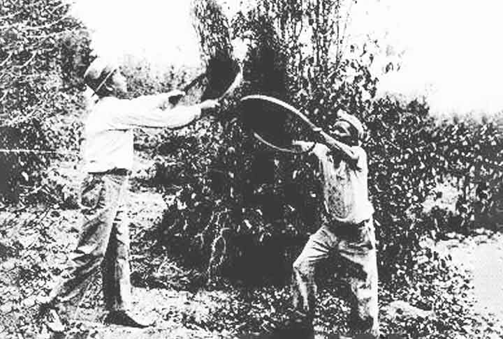 Foi um período de forte isolamento político-econômico e rígido controle interno, regulando os feudos através do código de leis. Em 1868, o período terminou com a Restauração Meiji, quando o governo imperial (tenno) recuperou sua autoridade, marcando o fim das ditaduras feudais, iniciando a modernização.