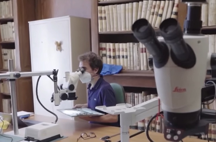 As camadas distorcem muitos dos textos e dificultam a compreensão. No entanto, duas novas técnicas (tomografia de coerência ótica e imagem hiperespectral no infravermelho) permitiram acessar todas as informações dos textos antigos.