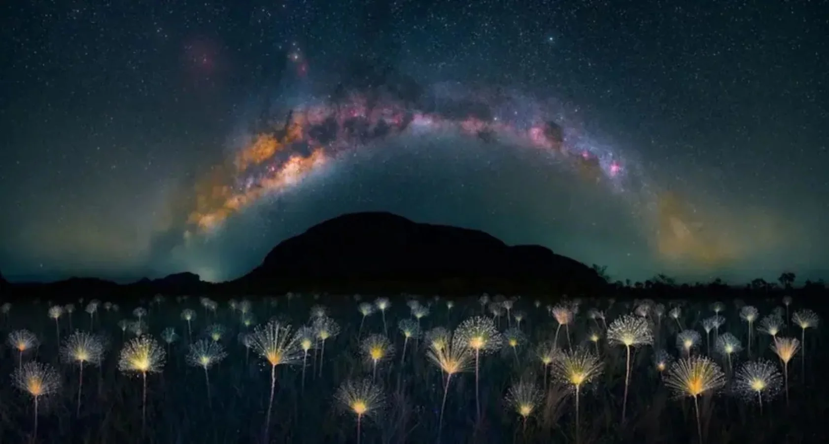 Em fevereiro de 2024, o brasileiro Márcio Cabral venceu o concursos The Nature Photography Contest mostrando uma planta típica do Cerrado, o chuveirinho. Usando técnica de light paint para iluminar as plantas, que têm hastes e flores brancas, ele conseguiu um efeito encantador. A foto se chama Chuveirinho do Cerrado.