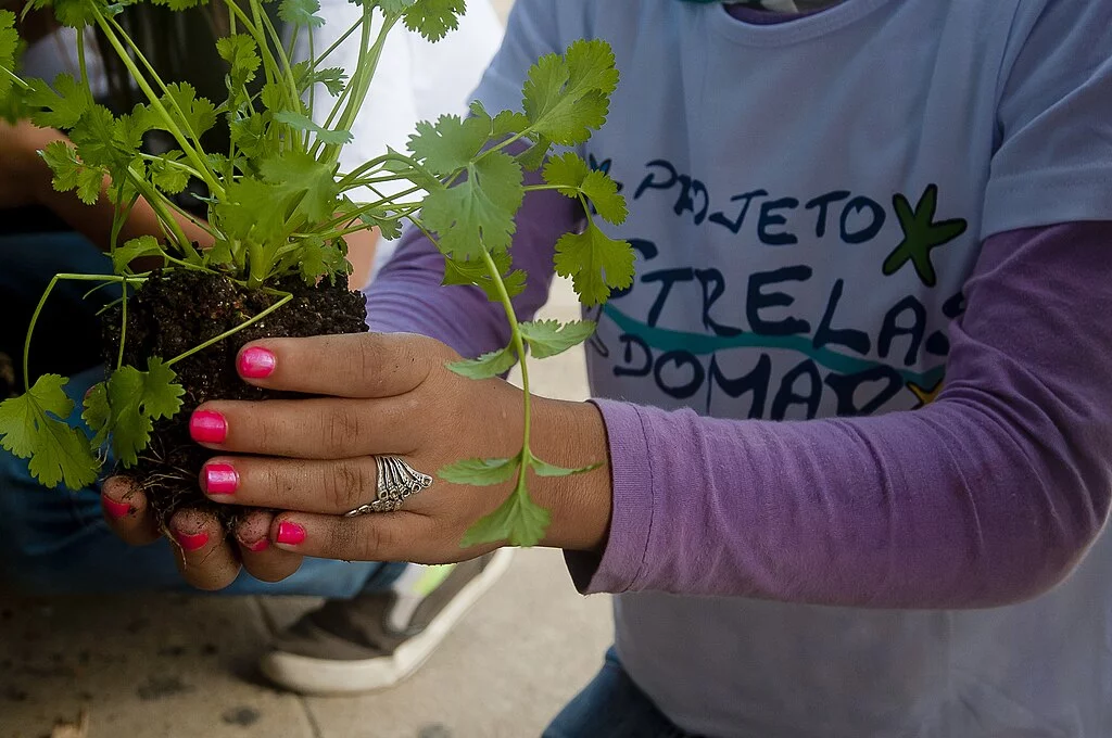 Desde cedo ensine seu filho sobre os cuidados necessários com a preservação da Natureza. Assim, certos hábitos passarão a fazer parte da rotina de forma espontânea, consolidando a educação ambiental.  