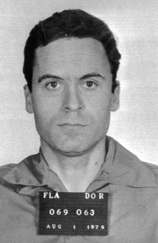 Outros crimes de serial killers também inspiraram filmes. Um dos mais impactantes é Ted Bundy, sobre Theodore Bundy, que assassinou dezenas de mulheres nos anos 70. O filme tem a perspectiva da esposa, que nunca havia percebido o verdadeiro caráter do marido. 