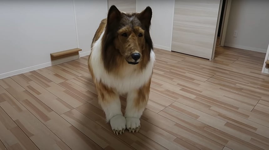 O homem encomendou a fantasia personalizada da Zeppet Workshop, famoso estúdio japonês especializado em arte e modelagem. 