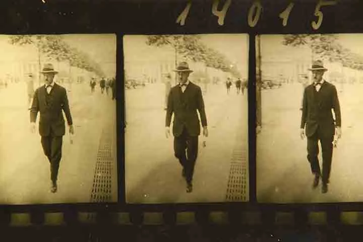 A dedicação à heteronìmia é um característica marcante da obra do escritor português. Os heterônimos têm personalidade poética complexa, distintas do poeta original, de tal forma que Fernando Pessoa acaba sendo mais um deles. 
