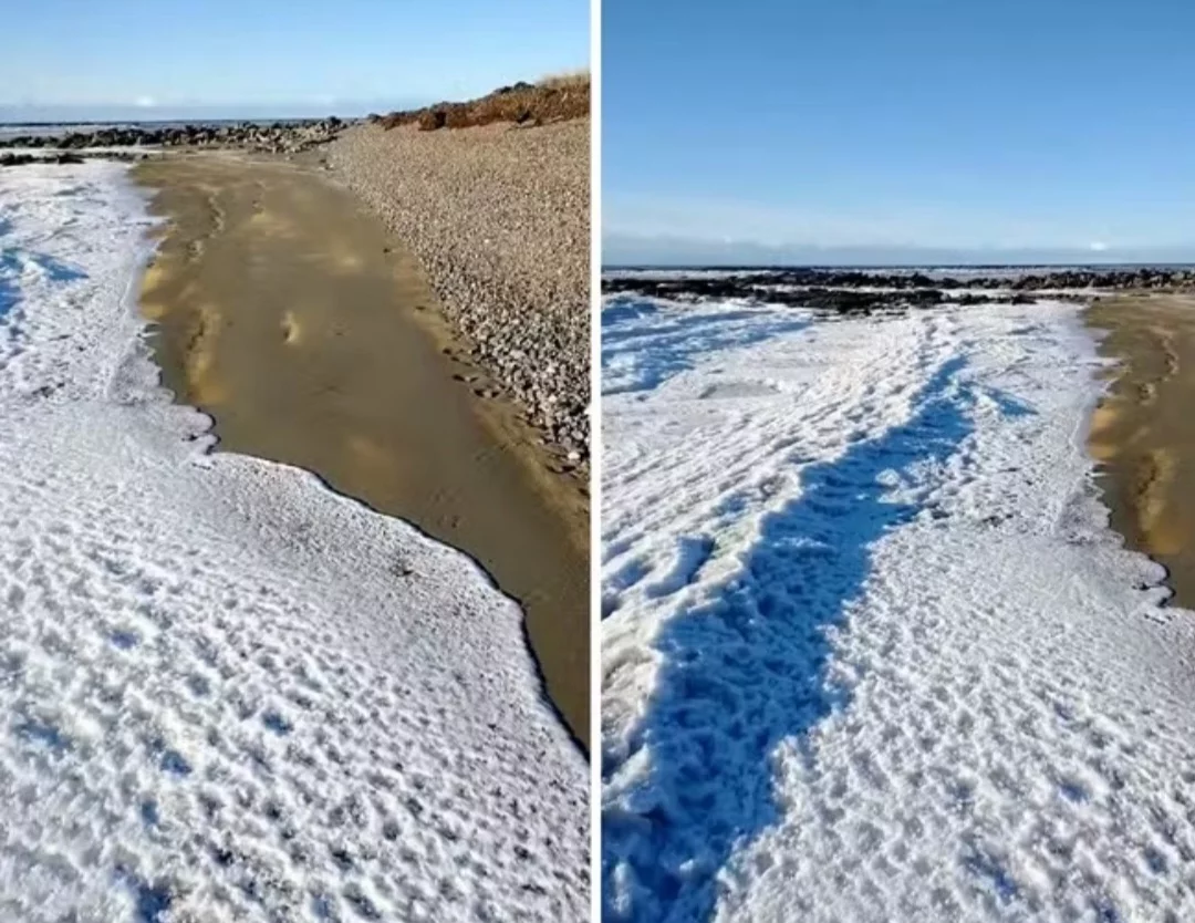 Imagens impressionantes mostram o gelo que se formou moldando o formato da água na região de San Sebastián. 