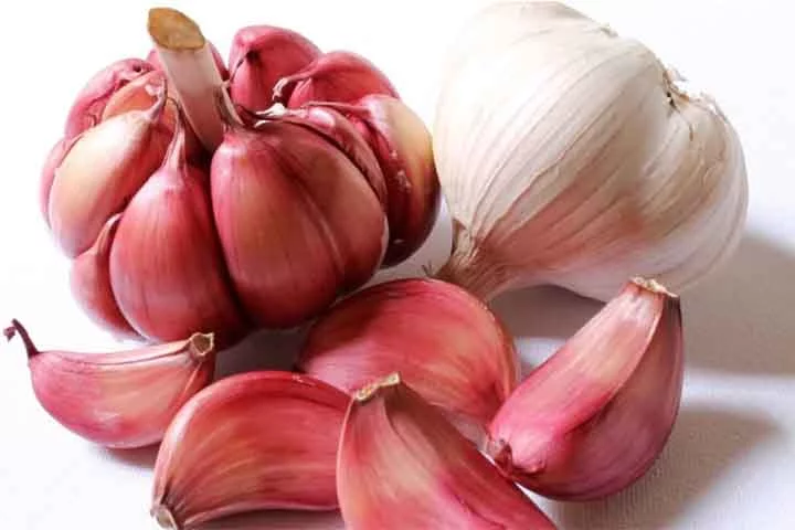 Devido à ação antioxidante e anti-inflamatória proporcionada pela alicina e pelo enxofre o consumo de alho ajuda a proteger as células do cérebro e a diminuir os danos causados ​​pelos radicais livres.