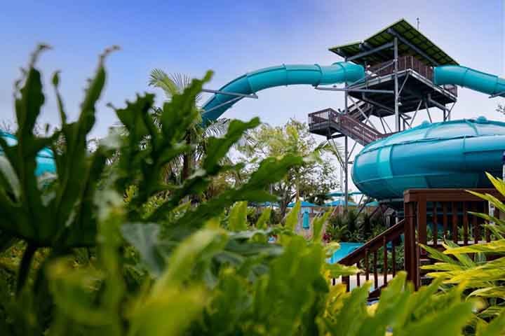 A ideia do brinquedo é levar os visitantes diretamente a Shark Bay, na Austrália, sem sair de Orlando, a capital mundial dos parques de diversão.