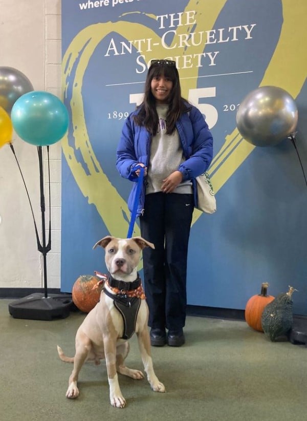 Pensando nisso, a Preply - plataforma de ensino de idiomas - fez uma pesquisa para saber quais são os nomes mais populares dos pets no Brasil.