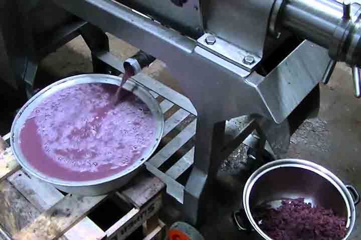 Dessa forma, a produção de sucos de uva total de 2023 teve um aumento de 7,8% quando comparada à safra de 2022, totalizando 38.216.760.58 litros. A maior produção é de suco de uva tinto integral e, em segundo lugar, de suco desta fruta branco integral. 