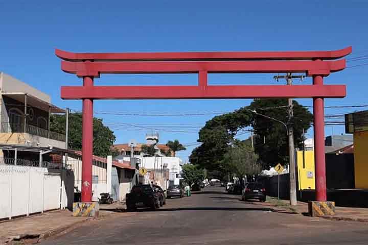 Apesar do preconceito, o interesse na mão de obra era muito grande e a vinda de um navio com imigrantes japoneses começou a ser planejada para 1897. Por volta de 1901, os preços internacionais do café haviam se recuperado e o governo do Brasil voltou a estudar o recebimento de imigrantes japoneses