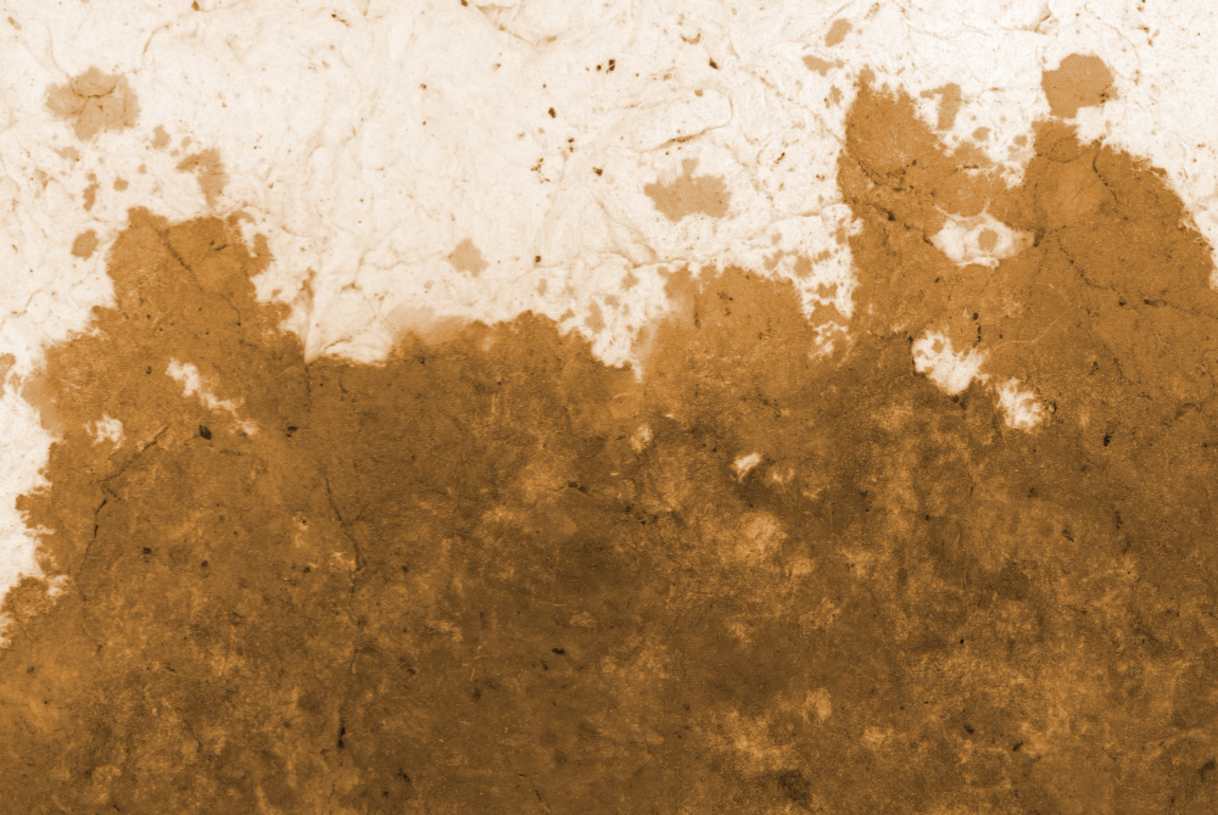 É como ver um rosto em uma nuvem, um animal em uma formação rochosa ou uma mensagem secreta em um café derramado.