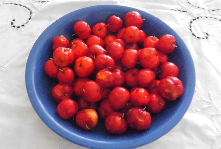 Em 2017, por exemplo, a produção nacional atingiu 60.966 toneladas, com um valor de produção de R$ 91.627 mil reais. Conheça mais sobre essa fruta tão amada pelos brasileiros!