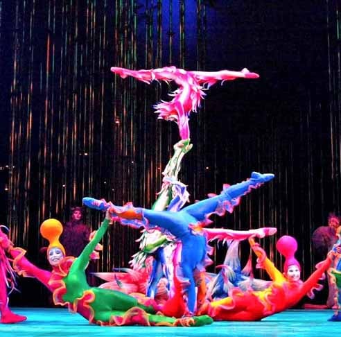 Fundado em 1984, em Quebec, Canadá, por Guy Laliberté e Gilles Ste-Croix, o Cirque du Soleil rapidamente se destacou por romper com as tradições circenses convencionais.