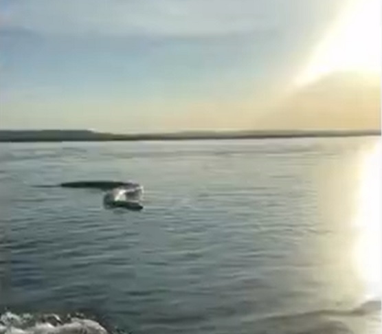 Agnaldo Teles Barbosa, de 44 anos, registrou o momento e publicou o vídeo nas redes sociais no domingo (30/06).