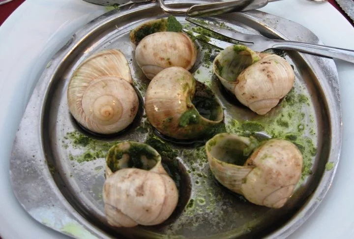 Os caramujos africanos foram trazidos para o Brasil como opção mais lucrativa ao escargot. Herbívoros, eles se alimentam de hortaliças, frutas e flores.