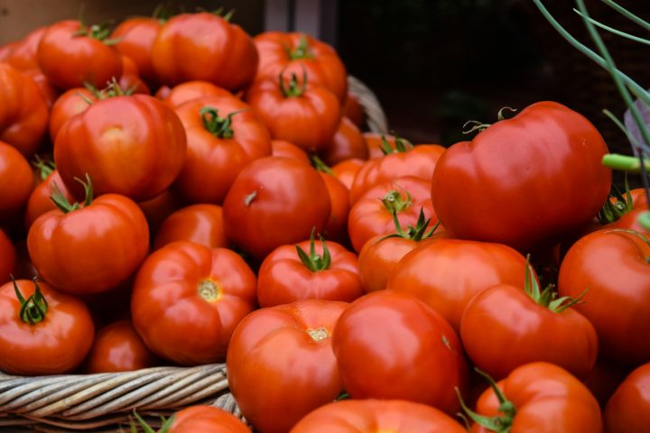 A Itália possui cerca de 90.000 hectares de terras cultivadas com tomate, produzindo em torno de 6 milhões de toneladas anualmente. 
