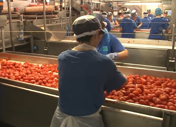 Para quem deseja se candidatar, a empresa não exige experiência anterior. É preciso ter pelo menos 18 anos. Além de produção, técnica e logística, os funcionários terão que lidar com o fornecimento de matéria-prima, transformação de produtos, controle de qualidade, gestão de armazéns e limpeza.