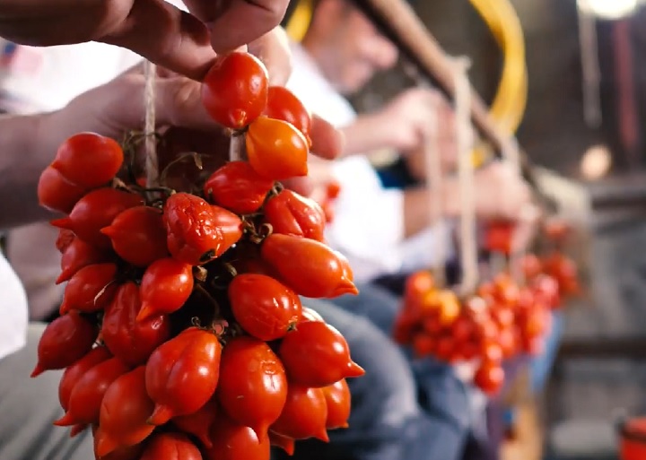 Pomodoro Piennolo: Originário da Campânia, é um tomate pequeno e enrugado com sabor intenso e concentrado. Tradicionalmente pendurado em cachos para secar, é utilizado para produzir o famoso Pomodorino del Piennolo Dop.