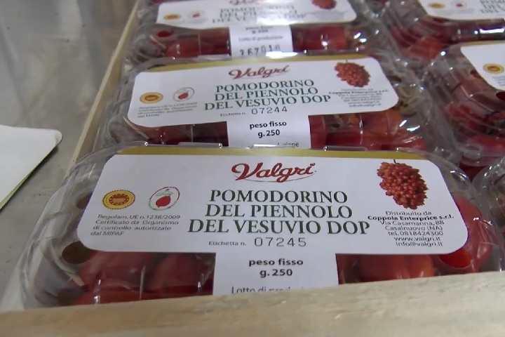 Pomodoro Vesuvino: Cultivado nas encostas do Vesúvio, esse tomate, que já foi até considerado o melhor do mundo, se beneficia do solo vulcânico da região, resultando em um sabor único com notas minerais. 