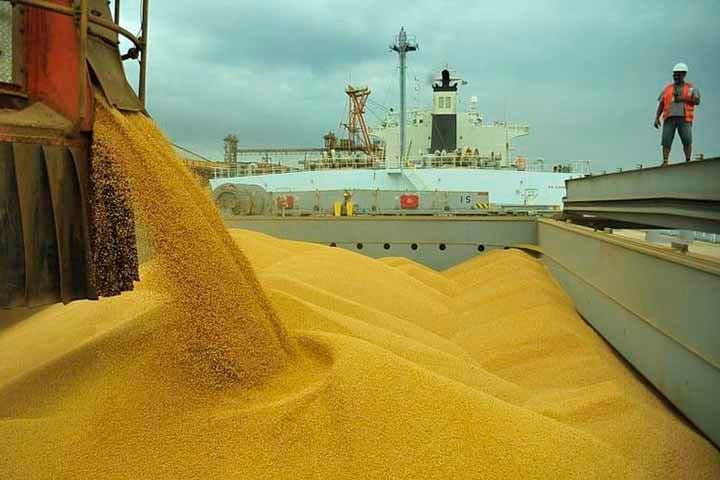 O Brasil criou uma cultura muito forte de produção e exportação agropecuária, o que não surpreende a sua posição no ranking. Os últimos anos foram marcados por muito investimento e tecnologia no setor, deixando o sistema muito mais produtivo e rentável. 