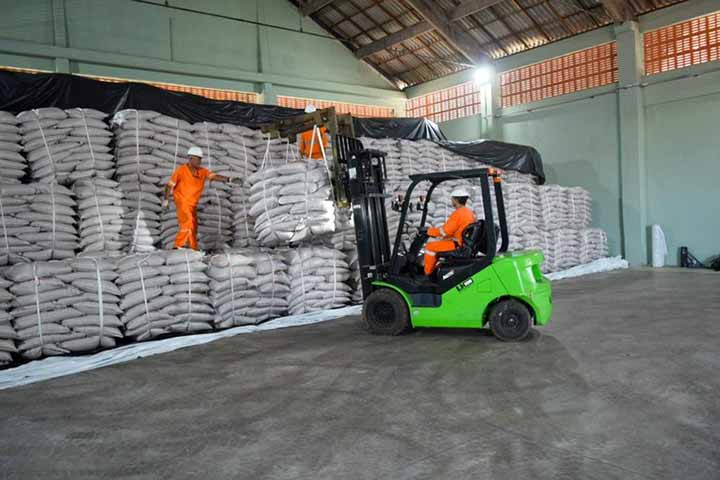 “As pastagens brasileiras ainda são pobres em termos de qualidade e produtividade”, afirma o relatório.